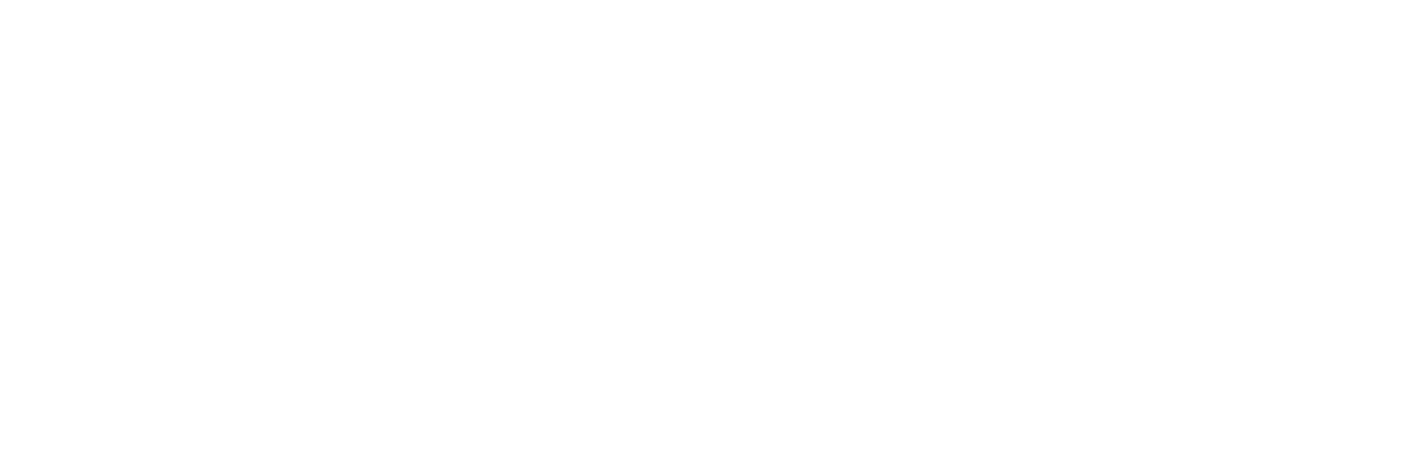 Kronoz Consultora